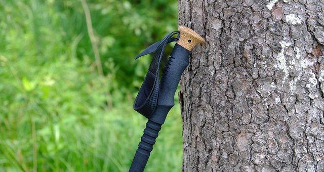 Hiking Stick for Seniors