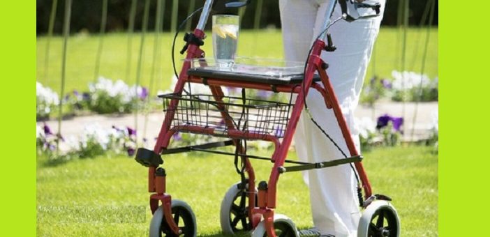 Upright Walker for Seniors