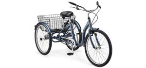 Schwinn Cargo - Three Wheel Bike for Seniors