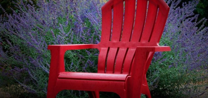 High Seat Arm Chair for Seniors