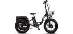 Addmotor Motan 3 Wheel Electric Bicycle, Ebike 750W 48V 17.5Ah Removable Battery, Front & Rear Baskets and Front Fender, M330 20