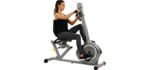 Sunny Health & Fitness Recumbent Bike SF-RB4631 with Arm Exerciser, 350lb,Gray