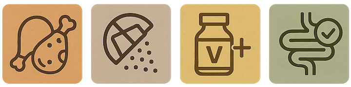 Best Protein Drink for Seniors Features