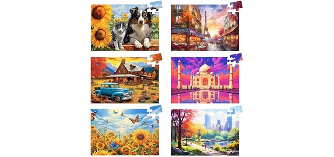 Biarek 6 Pack 36 Large Piece Puzzles for Seniors Puzzle Dementia Alzheimer's Products Activities for Elderly Adults Easy Jigsaw Puzzle Alzheimer's Gift for Patients in Nursing Home with 6 Storage Bags