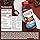Premier Protein Shake, Chocolate, 30g Protein 1g Sugar 24 Vitamins Minerals Nutrients to Support Immune Health, 11.5 fl oz (Pack of 6)
