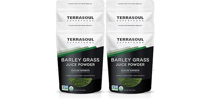 Terrasoul Superfoods Organic Barley Grass Juice Powder, 20 Ounces - USA Grown