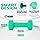 Yes4All Workout Weights Sets, Ankle Weights (2.5lbs Pair) with Adjustable Strap and Neoprene Coated Dumbbell Hand Weights (5lbs Pair) - for Women & Men in Running, Aerobics, Cardio Routine - Green