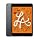 2019 Apple iPad Mini (Wi-Fi, 64GB) - Space Gray