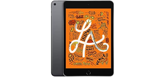 2019 Apple iPad Mini (Wi-Fi, 64GB) - Space Gray