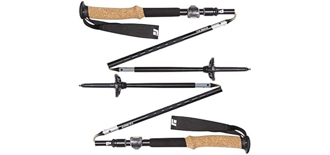 Black Diamond Alpine Flz Z-Poles, 110