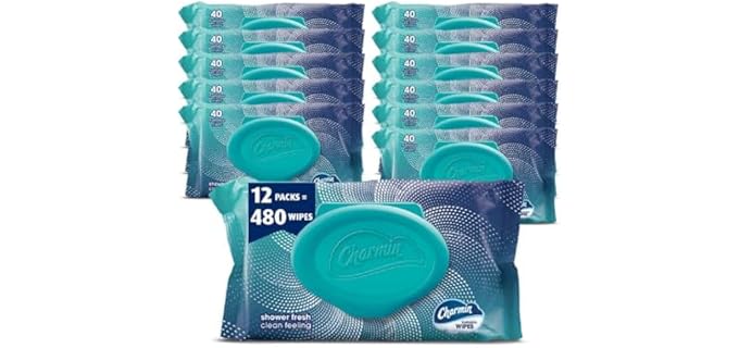 Charmin Flushable Wipes, 480 Total Wipes (12 Packs of 40)