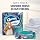 Charmin Flushable Wipes, 480 Total Wipes (12 Packs of 40)