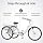 Schwinn Meridian Adult Tricycle Bike, Mens and Womens Three Wheel Beach Cruiser, 26-Inch Wheels, Low Step-Through Frame, Wide Seat, Rear Folding Basket, 1-Speed, White