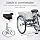 Schwinn Meridian Adult Tricycle Bike, Mens and Womens Three Wheel Beach Cruiser, 24-Inch Wheels, Low Step-Through Frame, Wide Seat, Rear Folding Basket, 1-Speed, Slate Blue