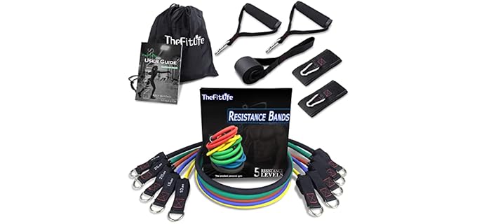 TheFitLife Exercise Resistance Bands with Handles - 5 Fitness Workout Bands Stackable up to 110/150 lbs, Training Tubes with Large Handles, Ankle Straps, Door Anchor Attachment, Carry Bag (110 LBS)
